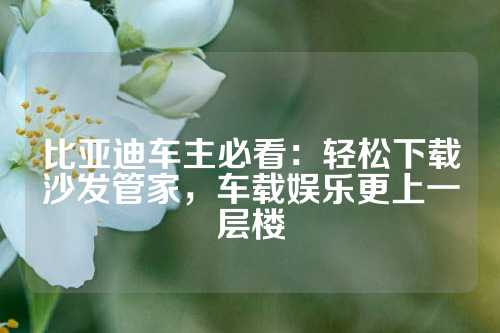 比亚迪车主必看：轻松下载沙发管家，车载娱乐更上一层楼