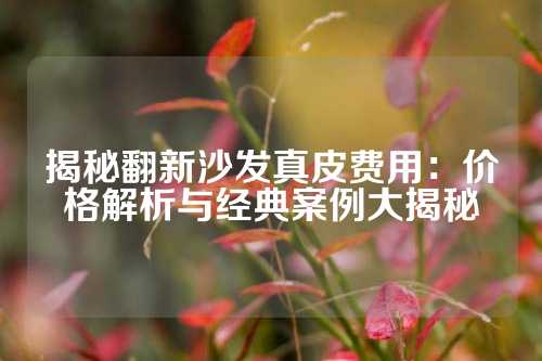 揭秘翻新沙发真皮费用：价格解析与经典案例大揭秘