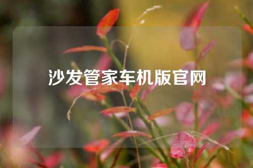 沙发管家车机版官网