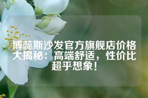 博蕊斯沙发官方旗舰店价格大揭秘：高端舒适，性价比超乎想象！