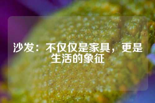 沙发：不仅仅是家具，更是生活的象征