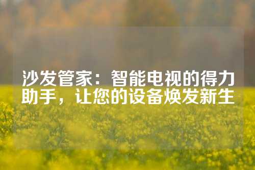 沙发管家：智能电视的得力助手，让您的设备焕发新生