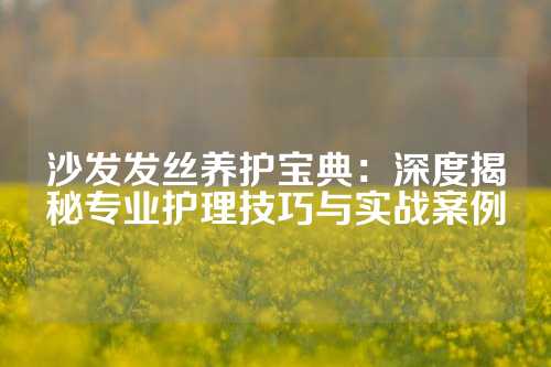 沙发发丝养护宝典：深度揭秘专业护理技巧与实战案例