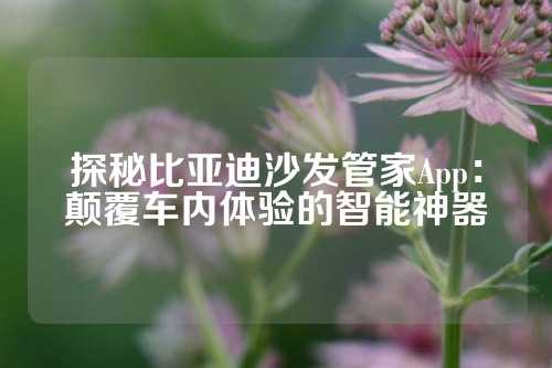 探秘比亚迪沙发管家App：颠覆车内体验的智能神器