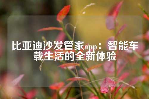 比亚迪沙发管家app：智能车载生活的全新体验