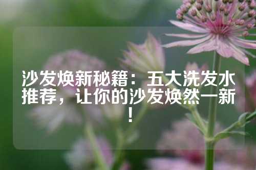 沙发焕新秘籍：五大洗发水推荐，让你的沙发焕然一新！