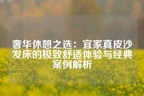 奢华休憩之选：宜家真皮沙发床的极致舒适体验与经典案例解析