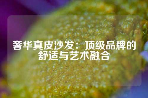 奢华真皮沙发：顶级品牌的舒适与艺术融合