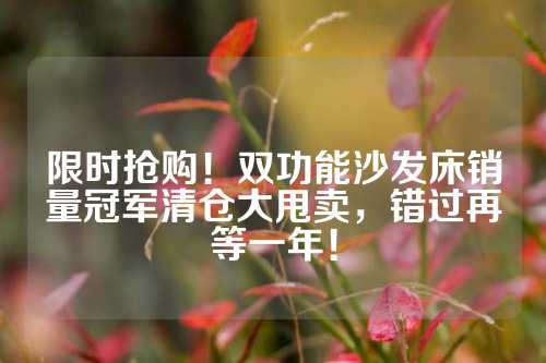 限时抢购！双功能沙发床销量冠军清仓大甩卖，错过再等一年！