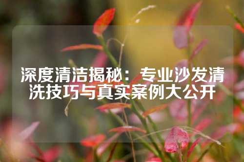 深度清洁揭秘：专业沙发清洗技巧与真实案例大公开