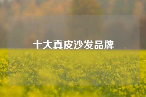 十大真皮沙发品牌