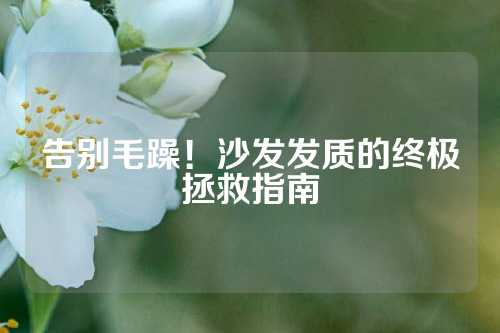 告别毛躁！沙发发质的终极拯救指南