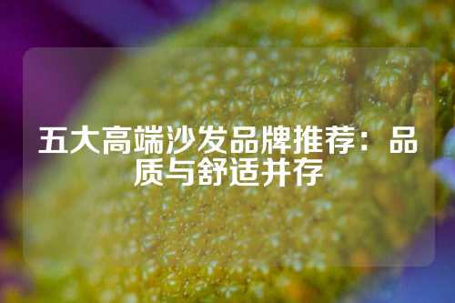 五大高端沙发品牌推荐：品质与舒适并存
