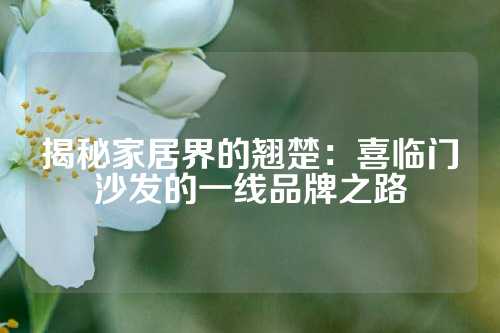 揭秘家居界的翘楚：喜临门沙发的一线品牌之路
