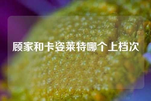 顾家和卡姿莱特哪个上档次