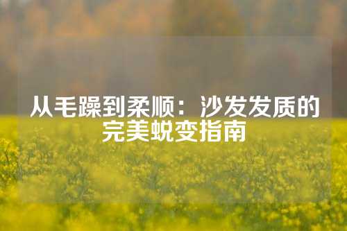 从毛躁到柔顺：沙发发质的完美蜕变指南