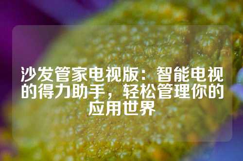 沙发管家电视版：智能电视的得力助手，轻松管理你的应用世界