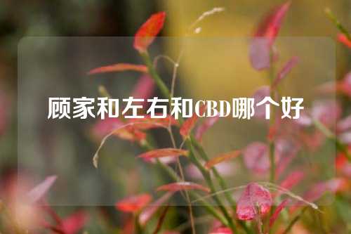 顾家和左右和CBD哪个好