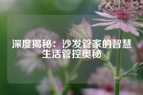 深度揭秘：沙发管家的智慧生活管控奥秘