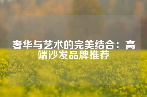 奢华与艺术的完美结合：高端沙发品牌推荐