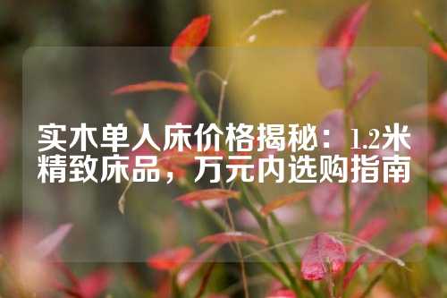 实木单人床价格揭秘：1.2米精致床品，万元内选购指南
