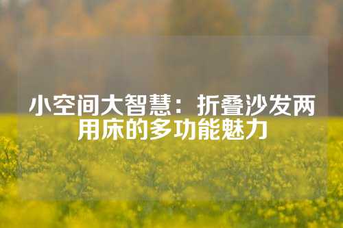 小空间大智慧：折叠沙发两用床的多功能魅力