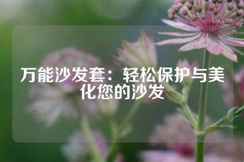 万能沙发套：轻松保护与美化您的沙发
