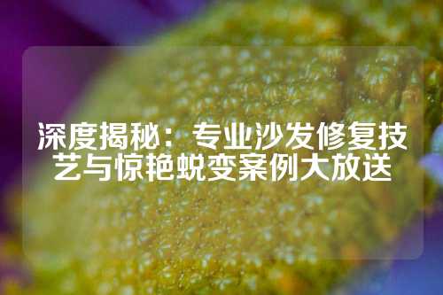 深度揭秘：专业沙发修复技艺与惊艳蜕变案例大放送