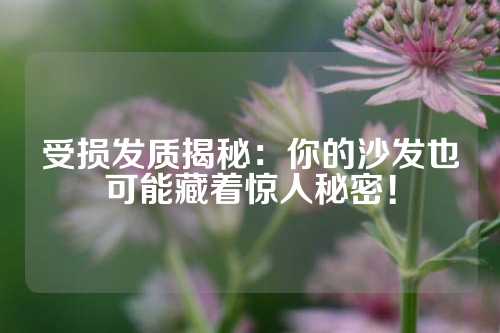 受损发质揭秘：你的沙发也可能藏着惊人秘密！