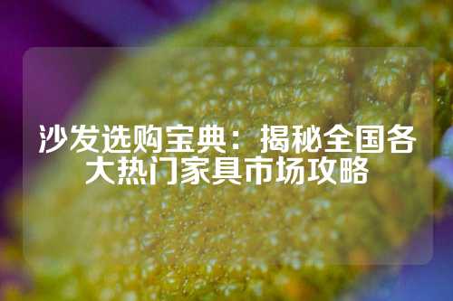 沙发选购宝典：揭秘全国各大热门家具市场攻略