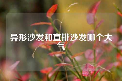 异形沙发和直排沙发哪个大气