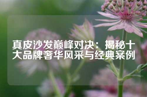 真皮沙发巅峰对决：揭秘十大品牌奢华风采与经典案例