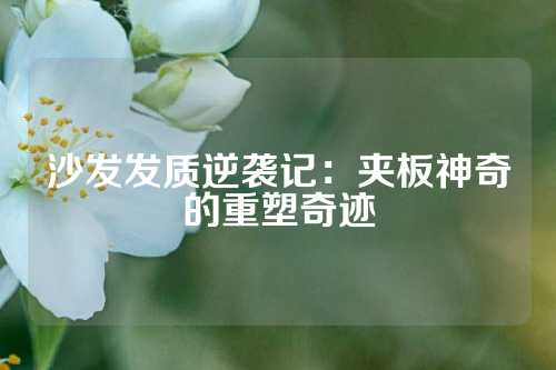 沙发发质逆袭记：夹板神奇的重塑奇迹
