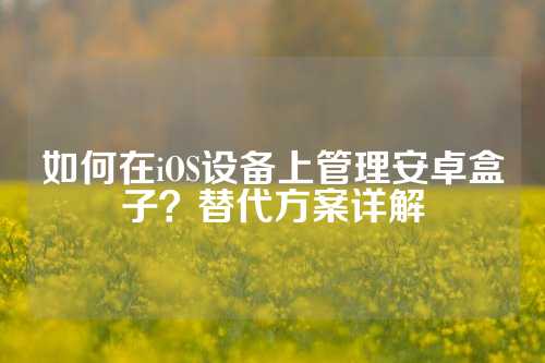 如何在iOS设备上管理安卓盒子？替代方案详解