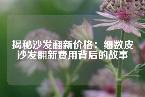 揭秘沙发翻新价格：细数皮沙发翻新费用背后的故事