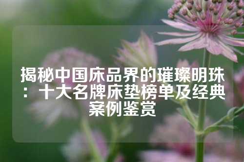 揭秘中国床品界的璀璨明珠：十大名牌床垫榜单及经典案例鉴赏