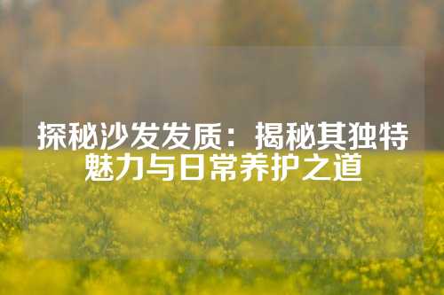 探秘沙发发质：揭秘其独特魅力与日常养护之道