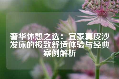 奢华休憩之选：宜家真皮沙发床的极致舒适体验与经典案例解析