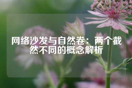 网络沙发与自然卷：两个截然不同的概念解析