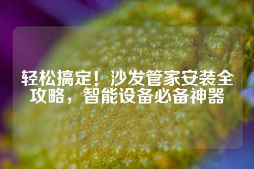 轻松搞定！沙发管家安装全攻略，智能设备必备神器