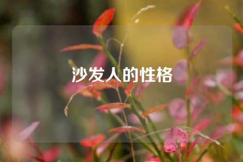 沙发人的性格