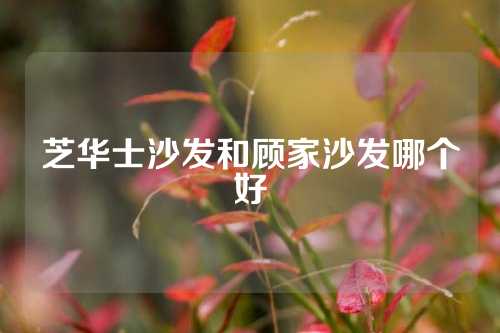 芝华士沙发和顾家沙发哪个好