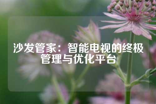 沙发管家：智能电视的终极管理与优化平台