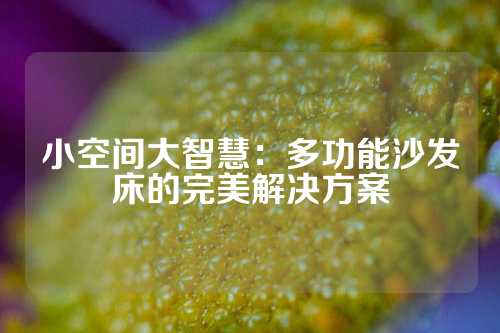 小空间大智慧：多功能沙发床的完美解决方案