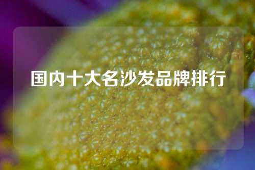 国内十大名沙发品牌排行