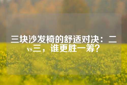 三块沙发椅的舒适对决：二vs三，谁更胜一筹？