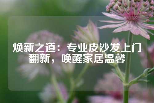 焕新之道：专业皮沙发上门翻新，唤醒家居温馨