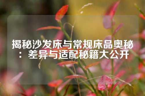 揭秘沙发床与常规床品奥秘：差异与适配秘籍大公开