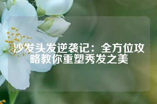 沙发头发逆袭记：全方位攻略教你重塑秀发之美