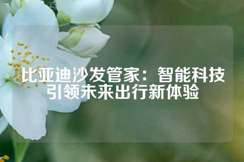 比亚迪沙发管家：智能科技引领未来出行新体验